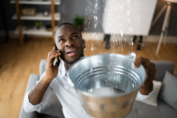 Best Water damage restoration experts  in Monticello, FL