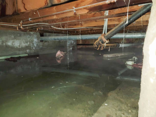 Fire Damage Restoration in FL