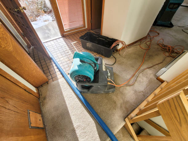 Best Flood restoration services  in Monticello, FL