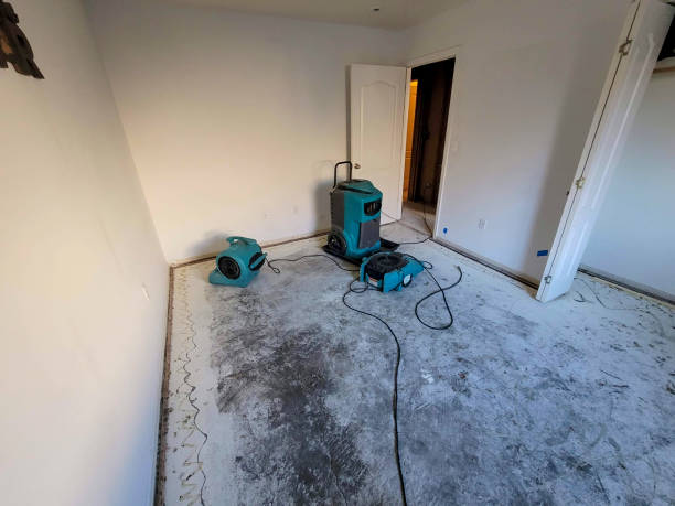 Water damage restoration mold remediation in FL