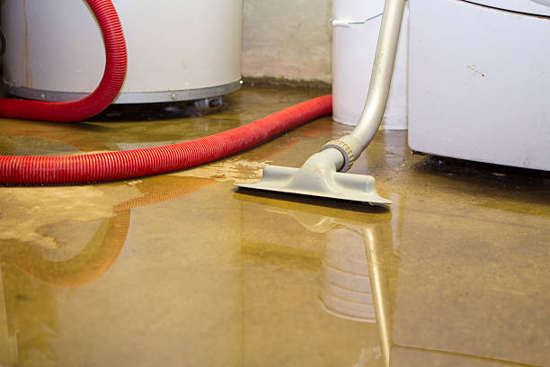 Carpet water damage restoration in FL