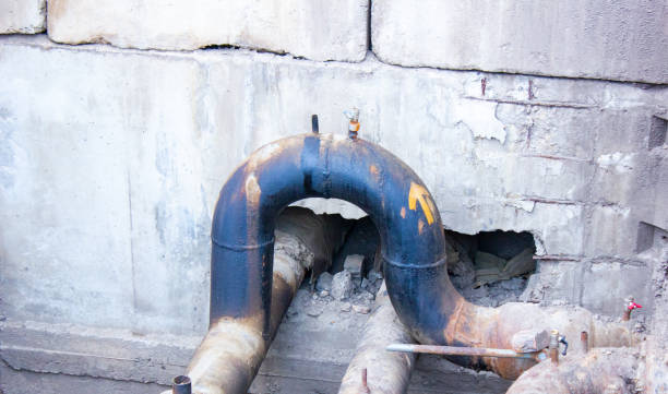 Best Mold removal after water damage  in Monticello, FL