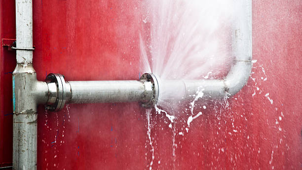 Best Water damage cleanup near me  in Monticello, FL