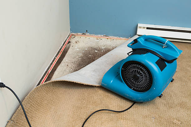 Best Residential water damage restoration  in Monticello, FL